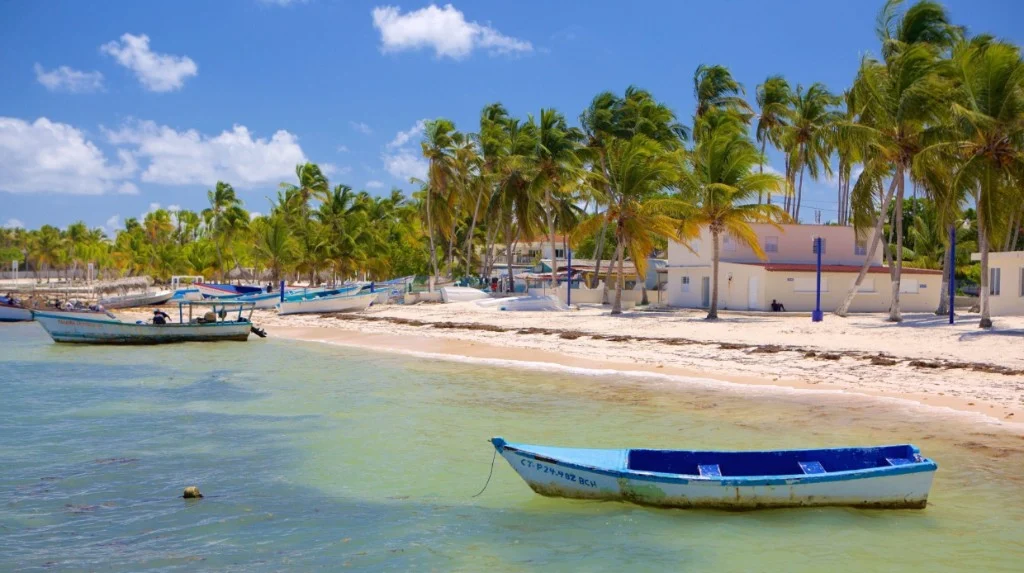 Fishing boats resting near the palm-lined shore at Cabeza de Toro