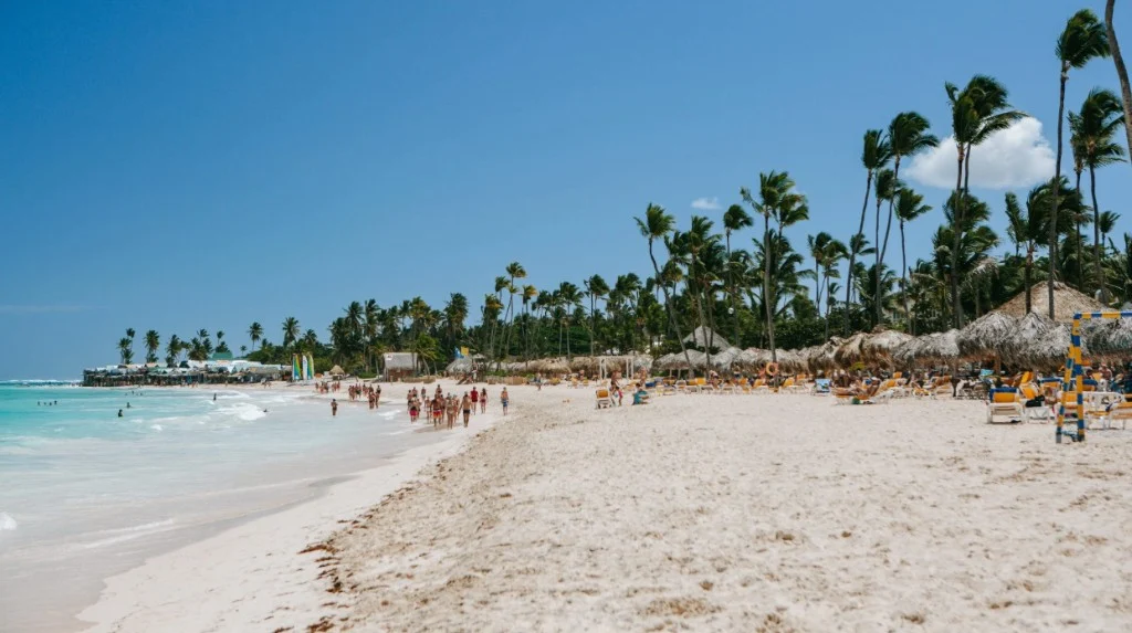 Palm-lined shoreline and beachgoers at El Cortecito Beach