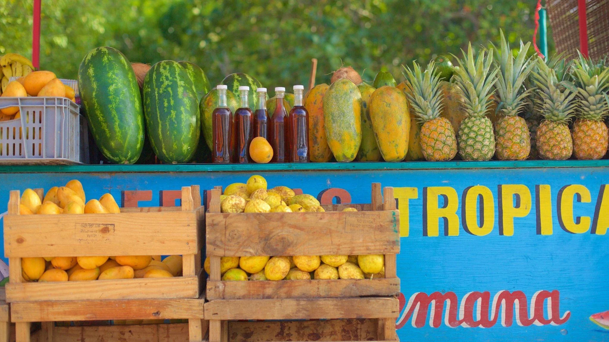 Tropical fruit stand with mangoes, pineapples, and papayas at a Punta Cana market