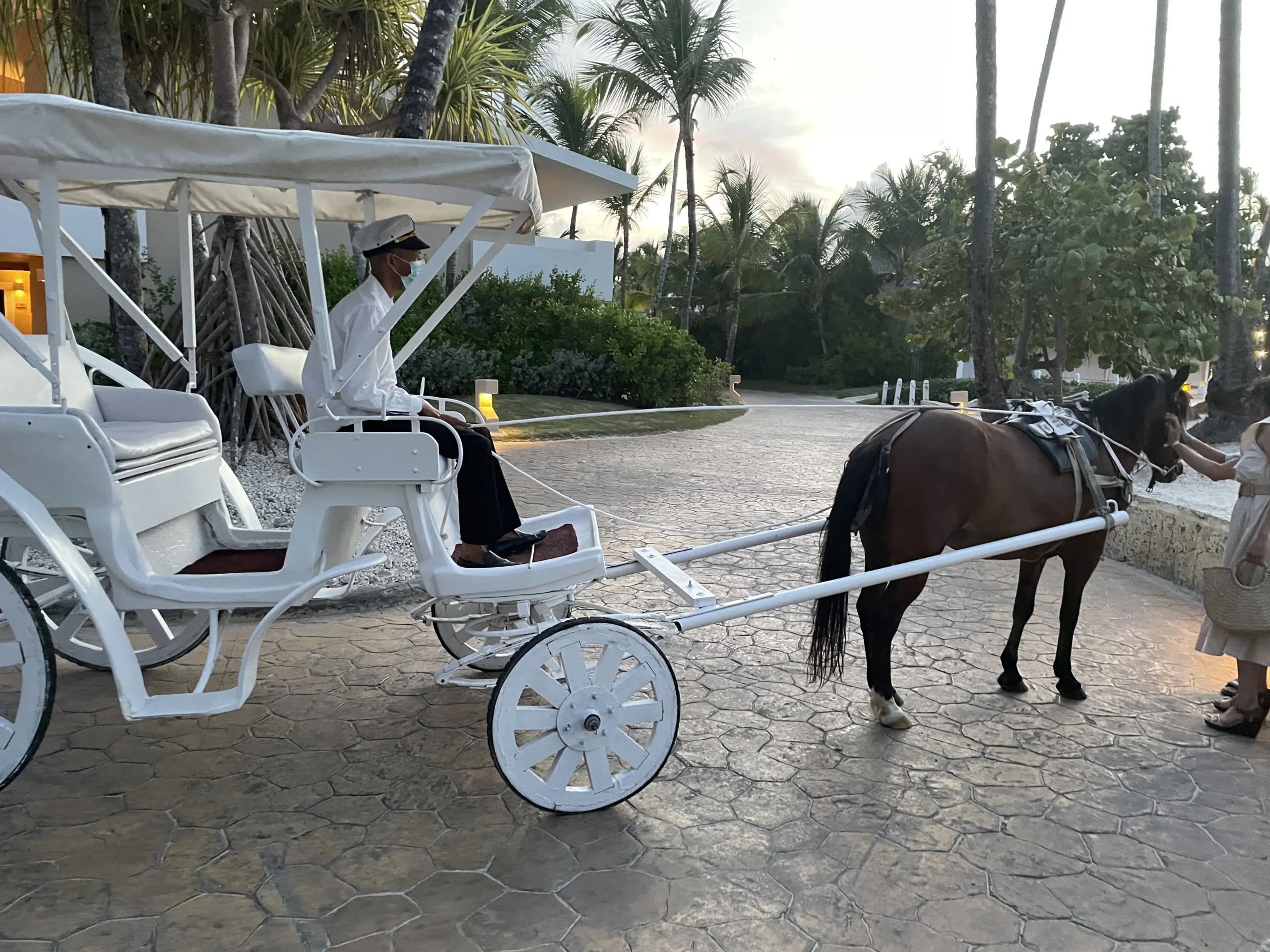 carriage
