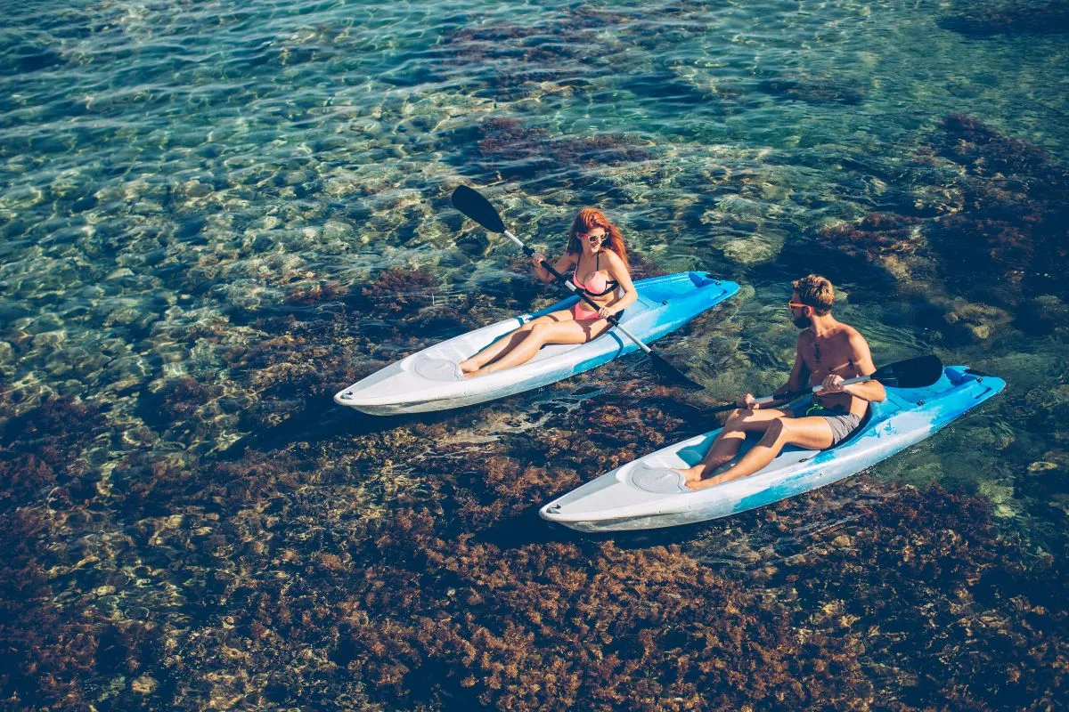 Paddle board