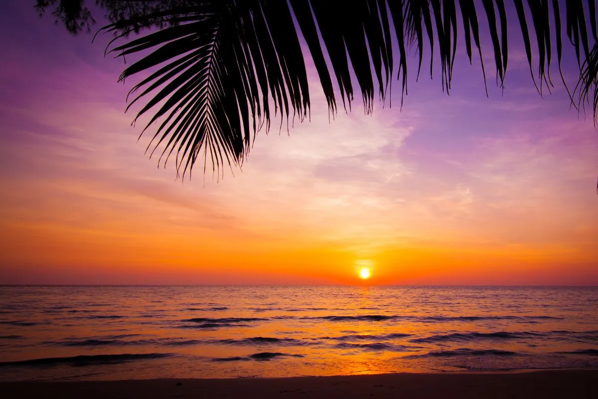 Sunset by the beach