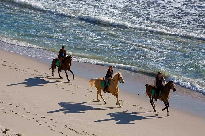 Horseback Riding On The Beach