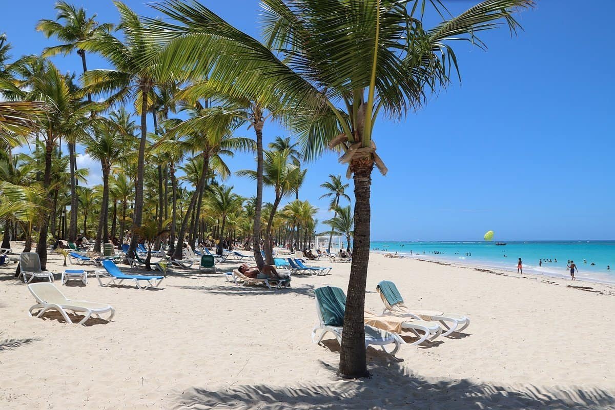 arena gorda beach with palm trees and beautiful blue water.\n