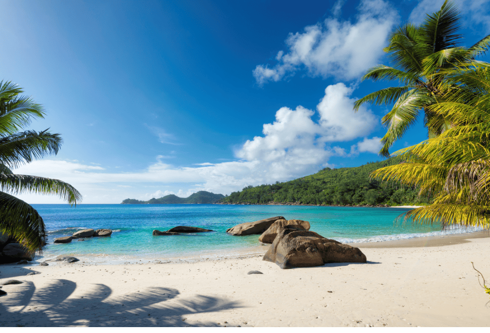 8 Beaches in Punta Cana That You Should NOT Miss