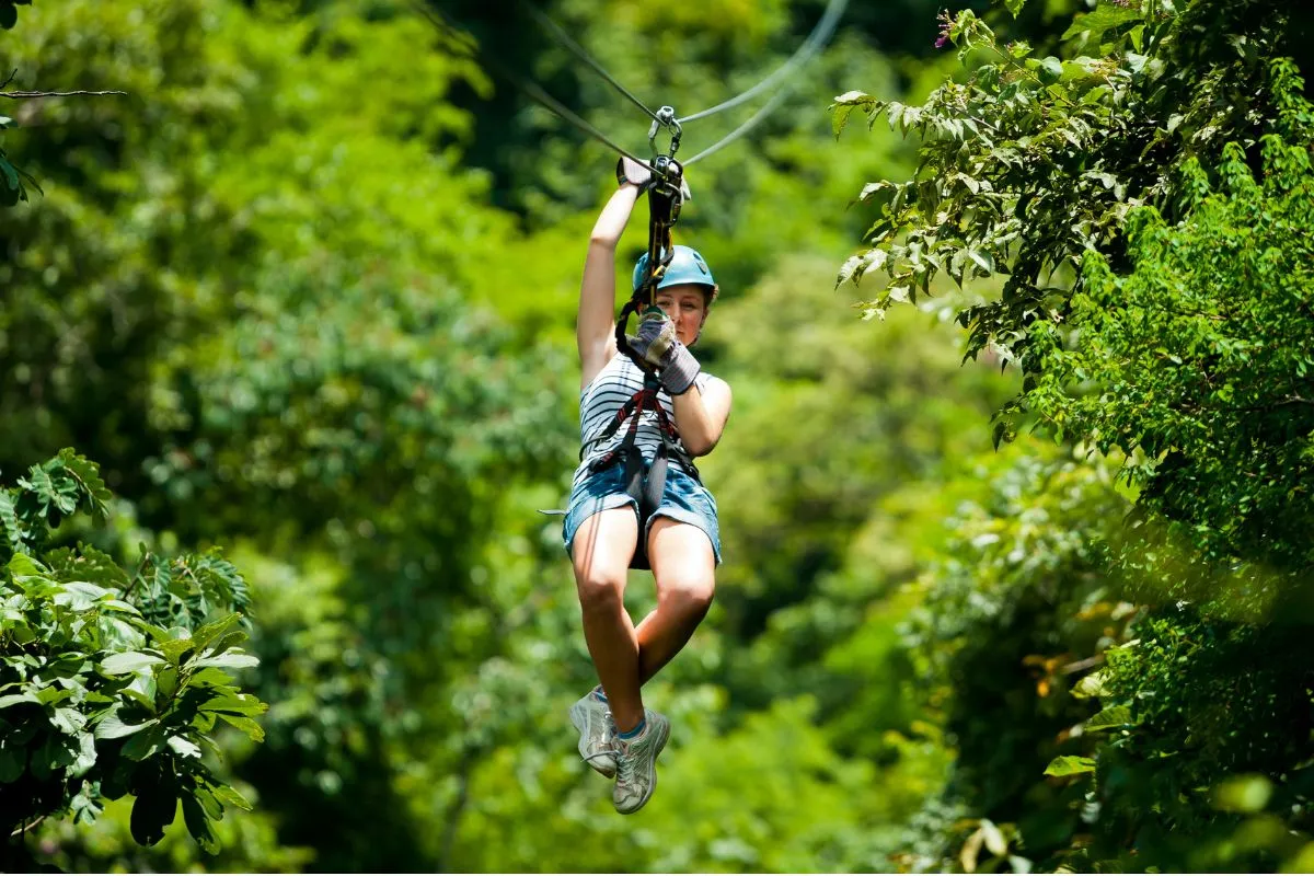 Tours, Activities, and Experiences