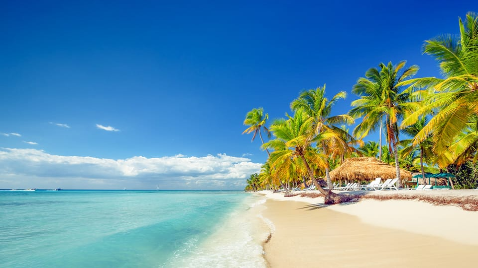 Why a Saona Island Excursion Should Be at the Top of Your Punta Cana To-Do List