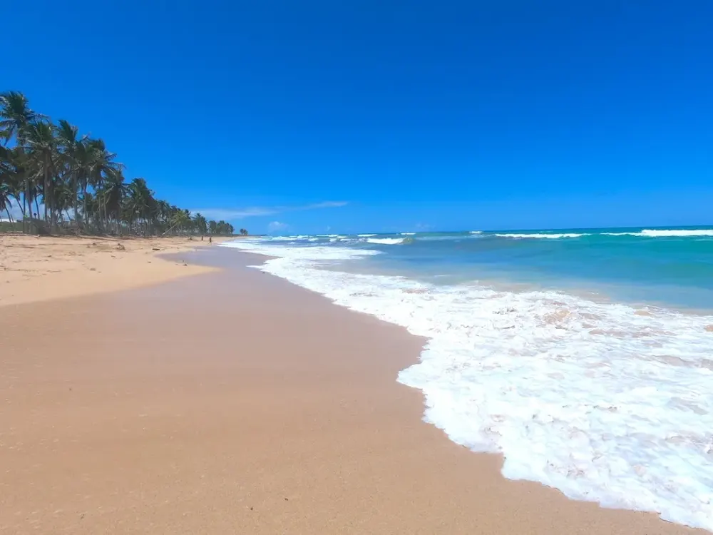 Rugged, undeveloped coastline and rolling waves at Macao Beach, Punta Cana
