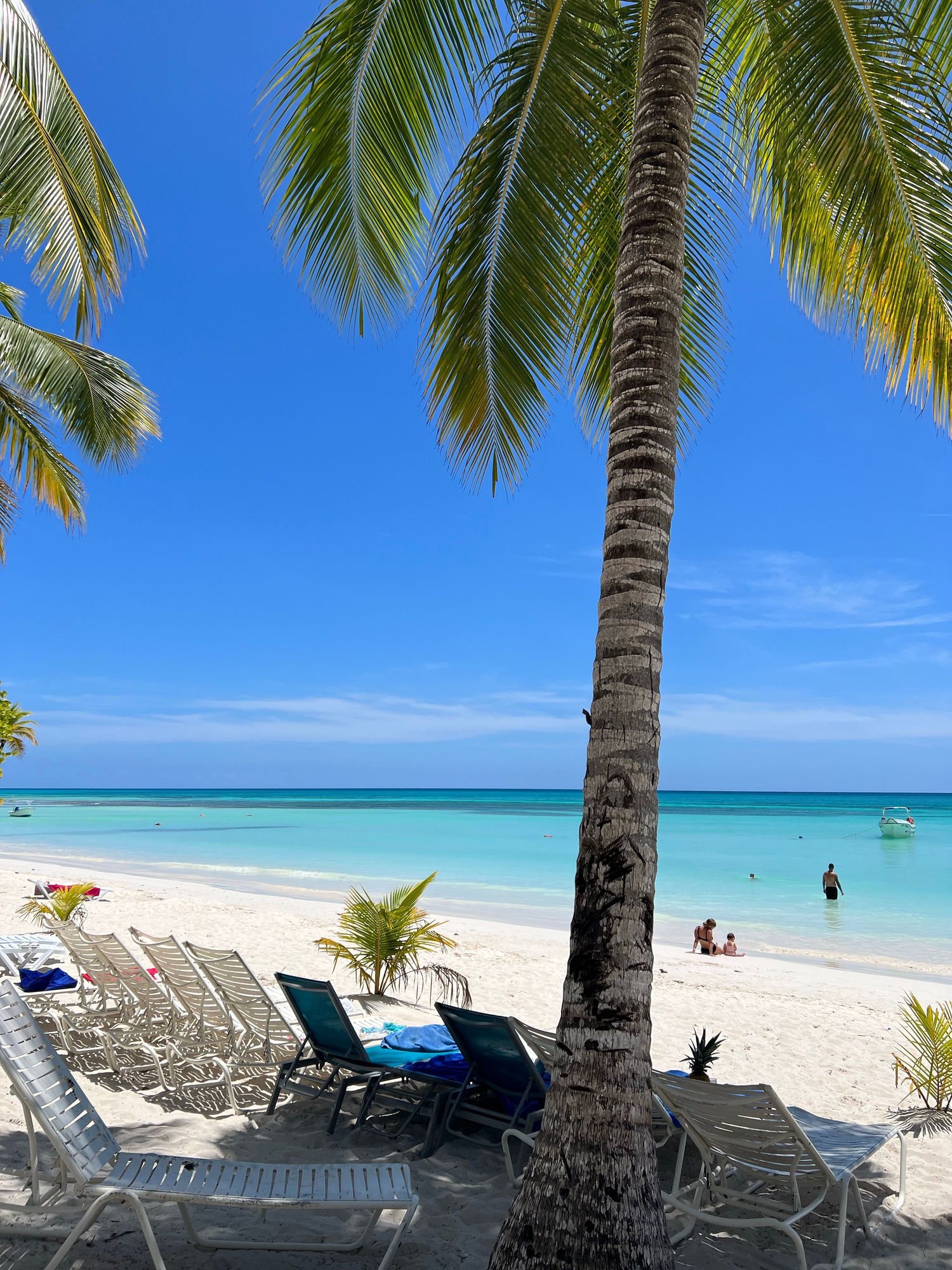 Palm tree and lounge chairs on the white sand beach with turquoise water of Saona Island, Dominican Republic