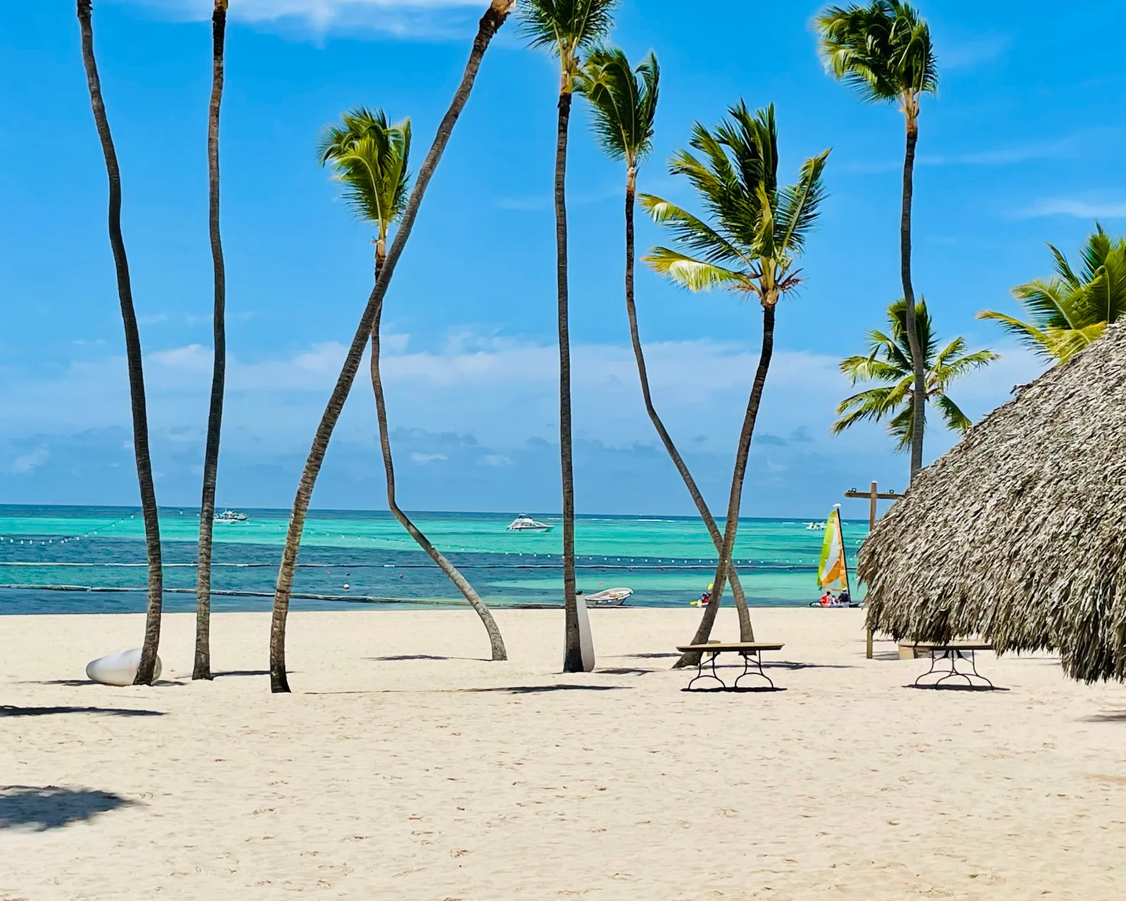 Punta Cana beach and palm trees at sunset